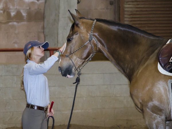 Ali Cornish works with her jumper Freddy at the Buck Brannaman clinic. Photo ©Patricia Kelley