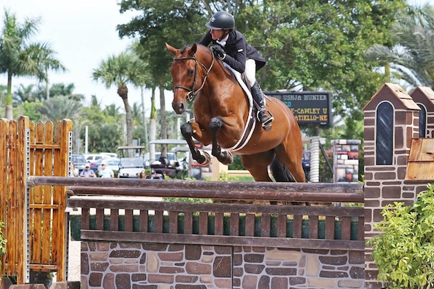 Kennzo and Molly Ashe Cawley Claim Top Spot in $50,000 USHJA ...