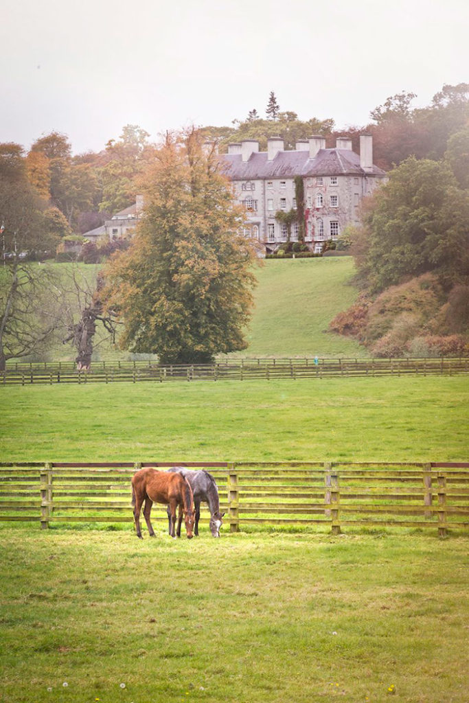 Destination Ireland Mount Juliet Horse & Style Magazine