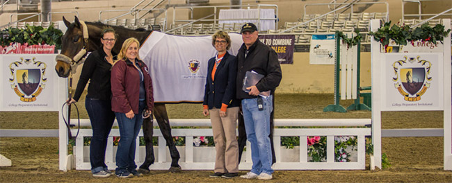 Elvenstar’s ‘Junior’ was voted Best Hunt Seat Horse of CPI California.