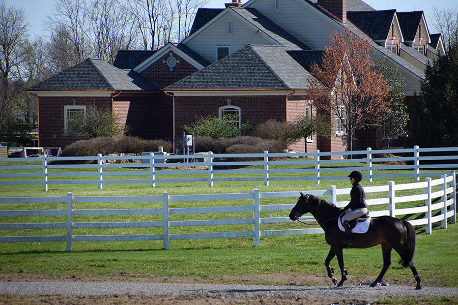 lauren hester hilaur farm